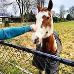 Op De Veluwe Met Privé Jacuzzi En Bar! Ermelo