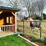 Op De Veluwe Met Privé Jacuzzi En Bar! * Ermelo