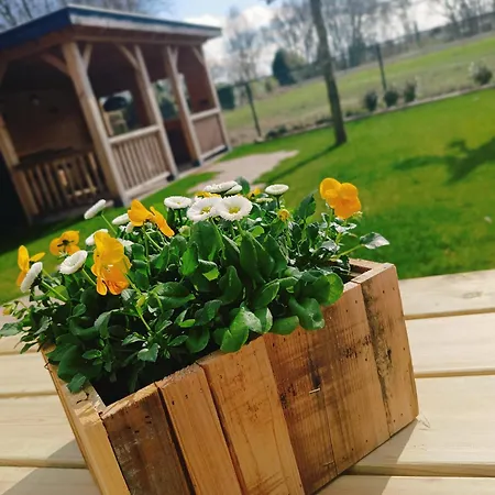 Op De Veluwe Met Privé Jacuzzi En Bar! * Ermelo