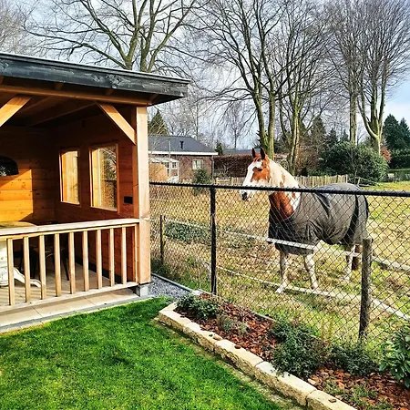 Op De Veluwe Met Privé Jacuzzi En Bar! * Ermelo