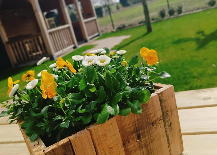 Op De Veluwe Met Privé Jacuzzi En Bar! * Ermelo