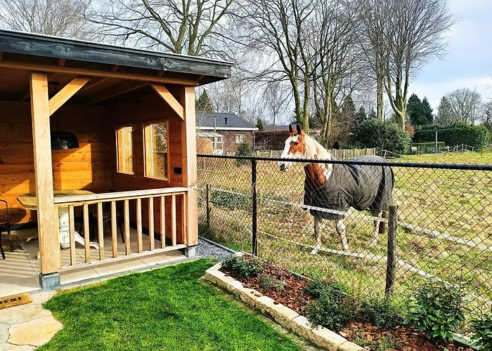 Op De Veluwe Met Privé Jacuzzi En Bar! * Ermelo