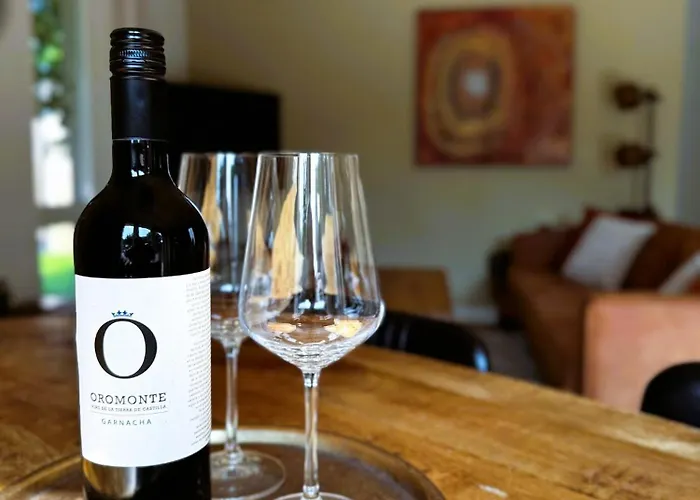 Op De Veluwe Met Privé Jacuzzi En Bar! *