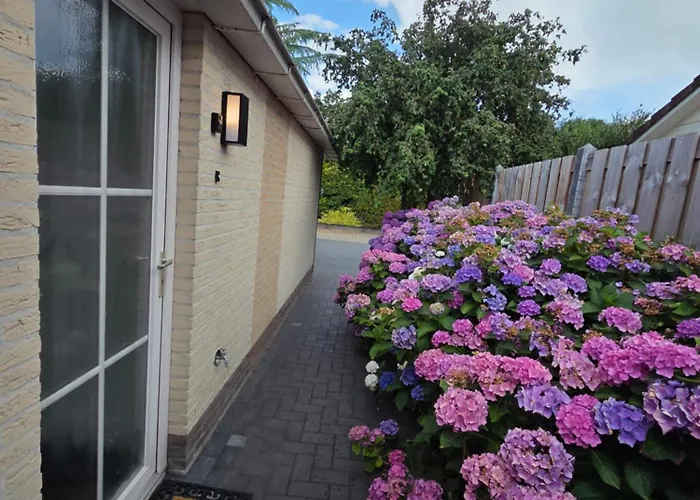 Vakantiehuis Op De Veluwe Met Privé Jacuzzi En Bar!