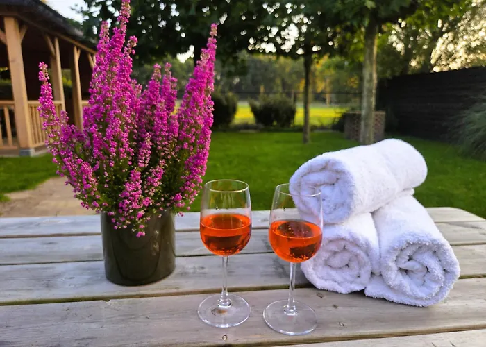 Vakantiehuis Op De Veluwe Met Privé Jacuzzi En Bar!